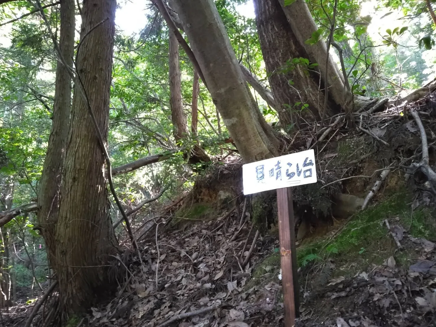 散策路（琵琶湖が望める見晴らし台コース）