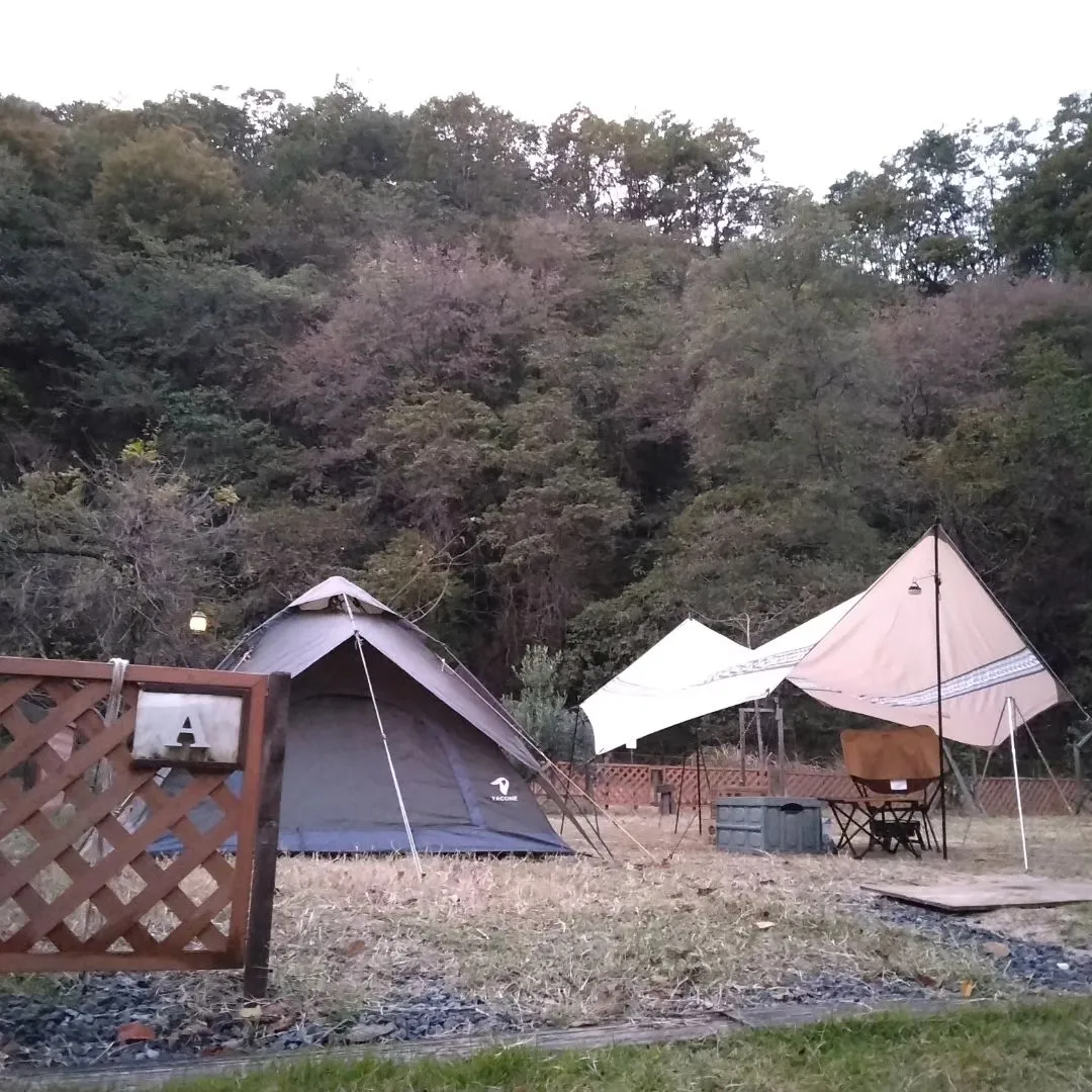 晩秋のキャンプサイト