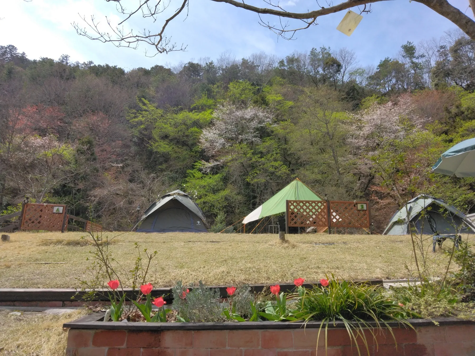琵琶湖でプライベートな貸切キャンプ！Hill Side 南比良