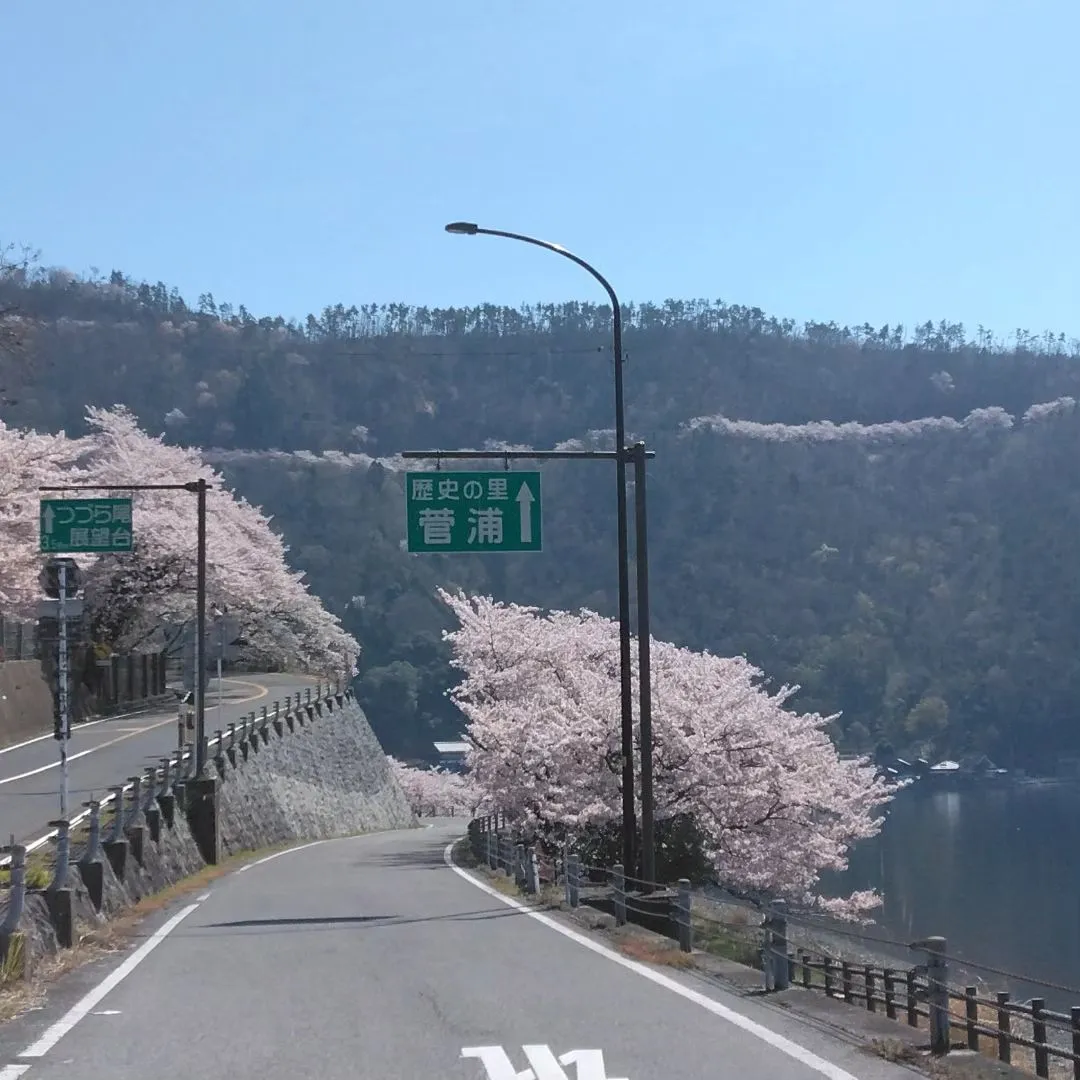 日本に誇る琵琶湖の絶景！