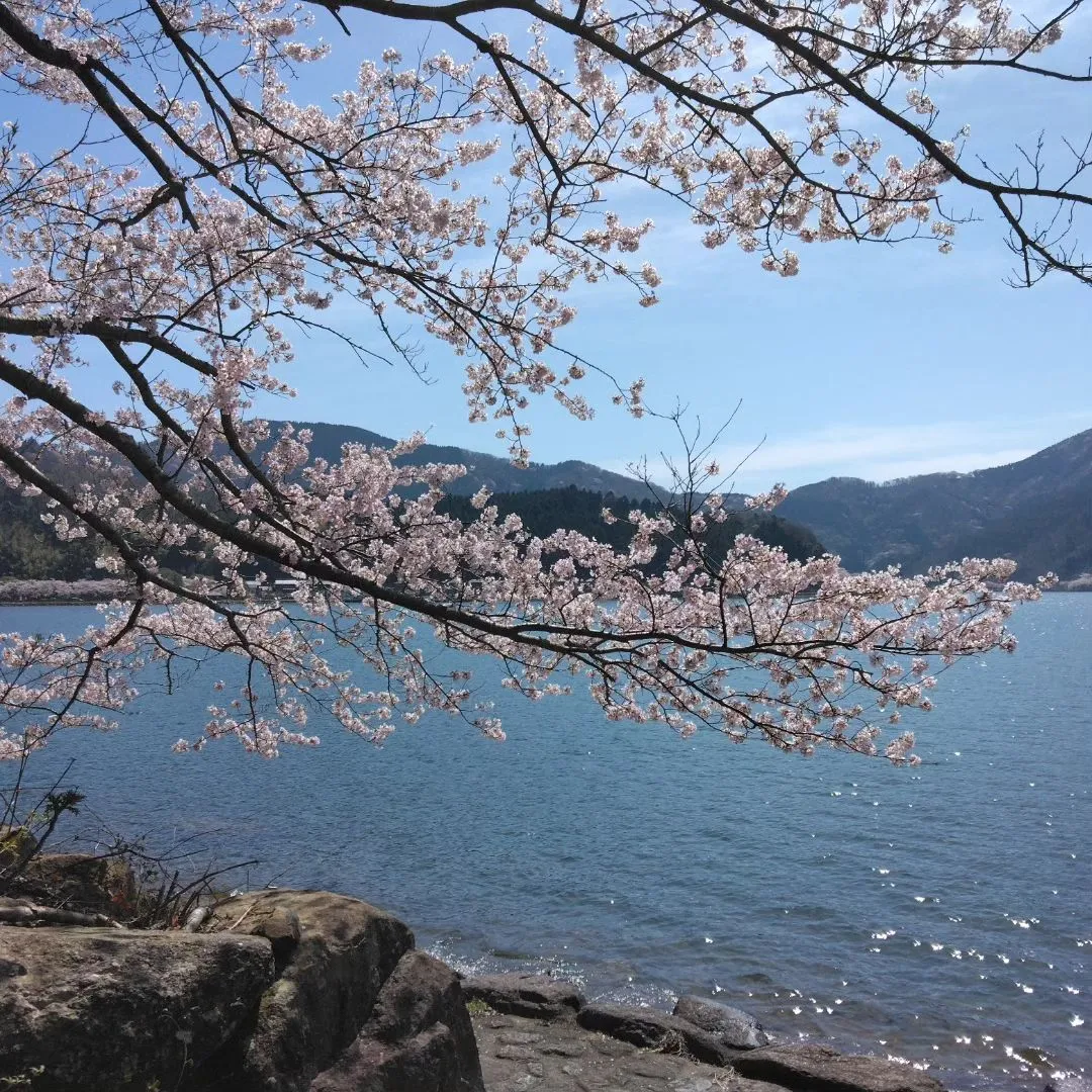 日本に誇る琵琶湖の絶景！