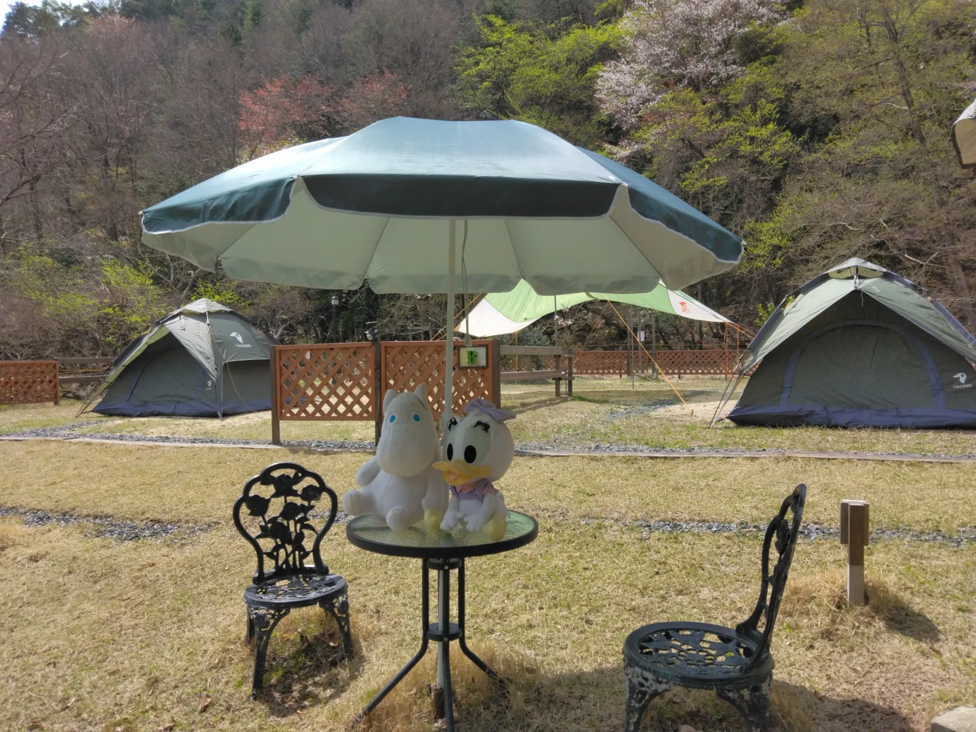 静かな琵琶湖湖畔、レンタルテントで気軽に手ぶらで、気兼ね要らずの貸し切りキャンプは、HillSide南比良キャンピングclub