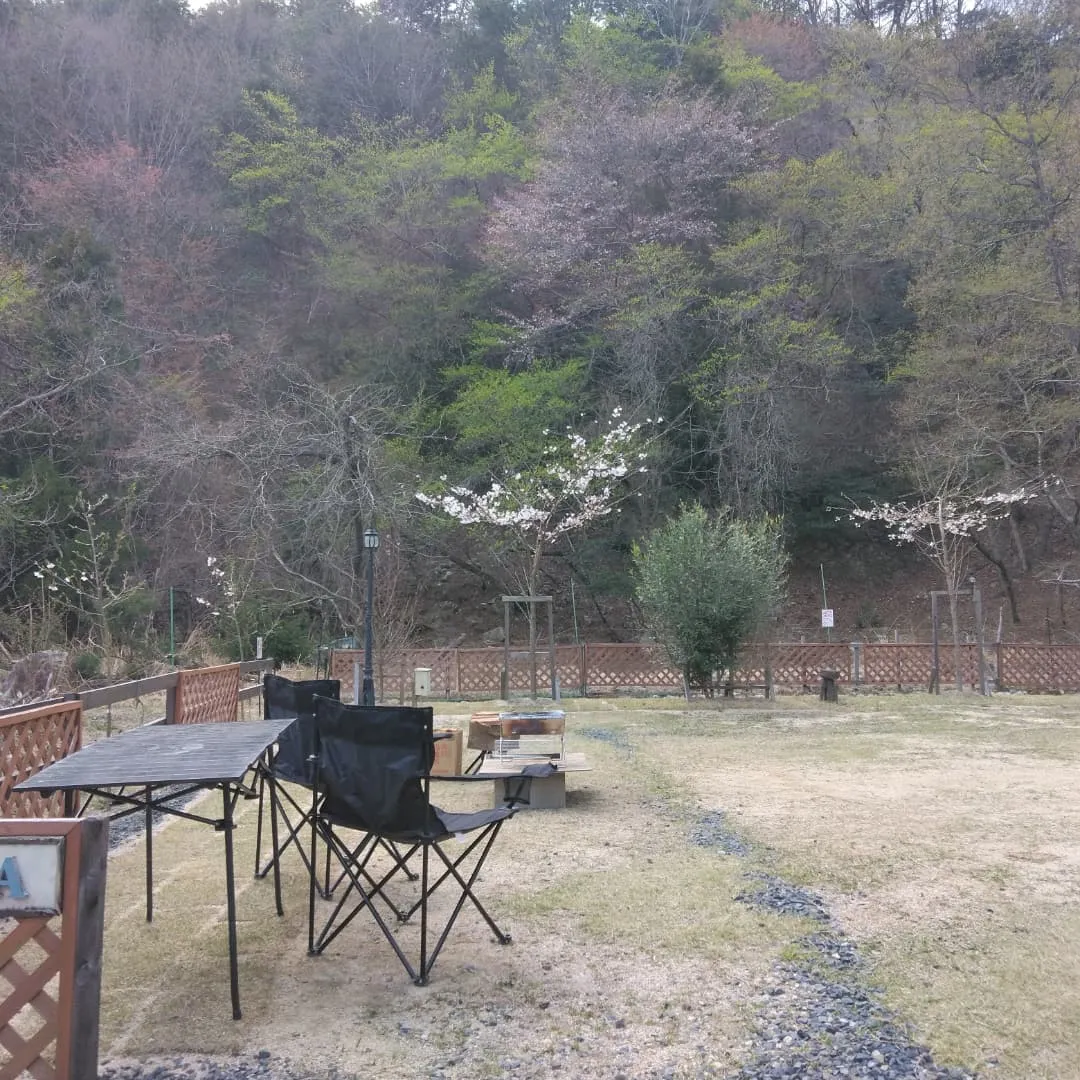 琵琶湖国定公園、比良山麓、キャンピングカー乗り入れ無料の、お...