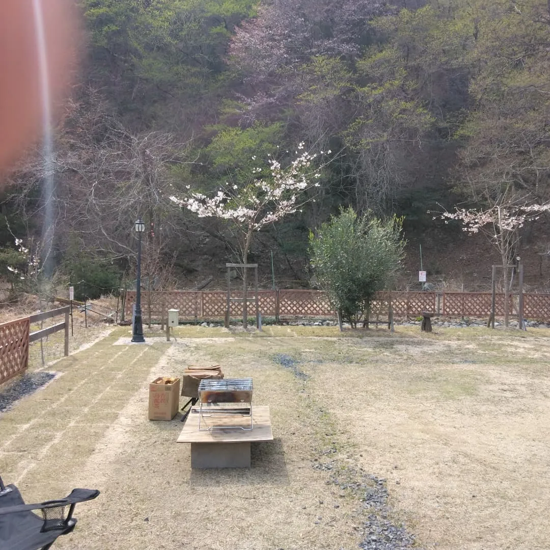 琵琶湖国定公園、比良山麓、キャンピングカー乗り入れ無料の、お...