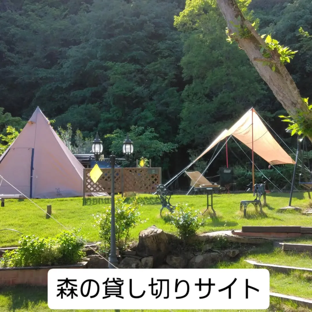 春の陽光煌めく