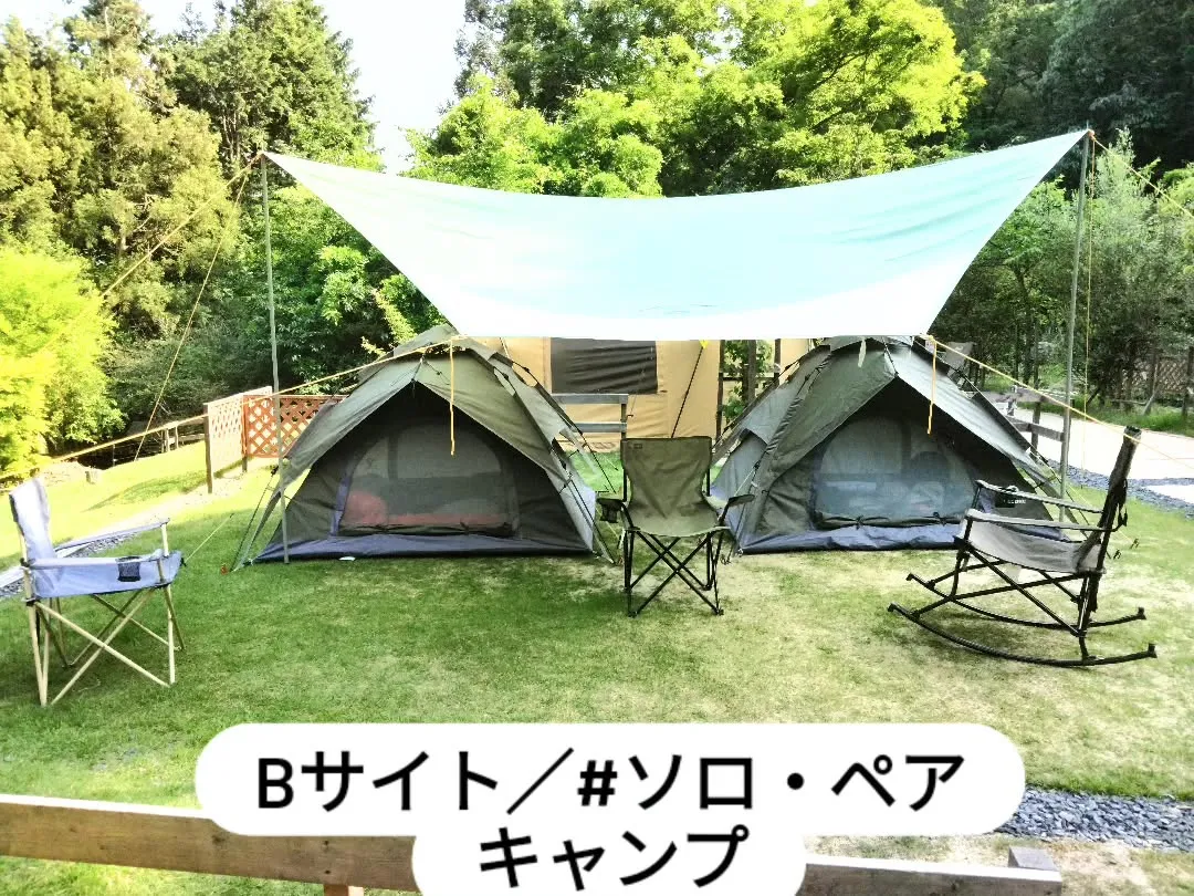 Bサイト
