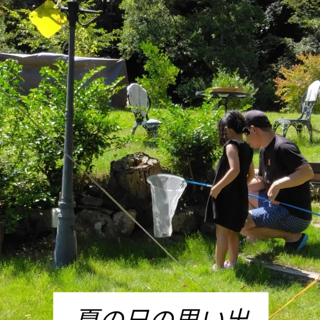 夏の日の思い出
