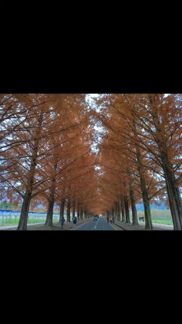 琵琶湖国定公園、比良山麓、観光名所へアクセスOK、車乗り入れ...