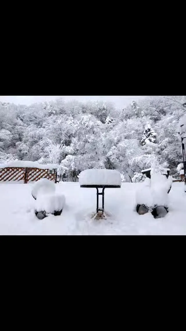 琵琶湖国定公園、比良山麓、神さまの贈り物、雪のプレゼント、車...