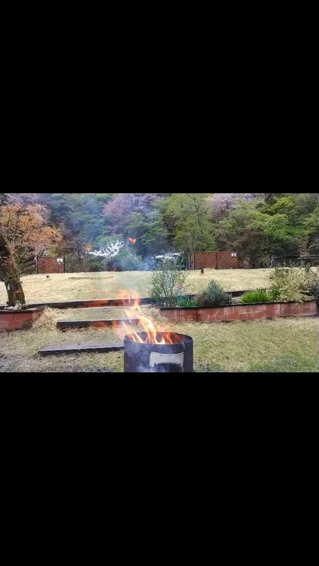 琵琶湖国定公園、比良山麓の貸しきりキャンプ場、車乗り入れ無料...