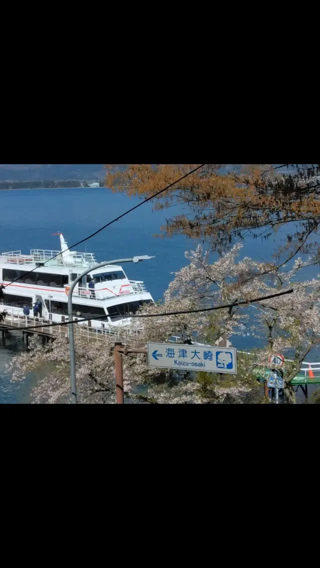 琵琶湖国定公園、比良山麓の貸しきりキャンプ場、花見クルーズ、...