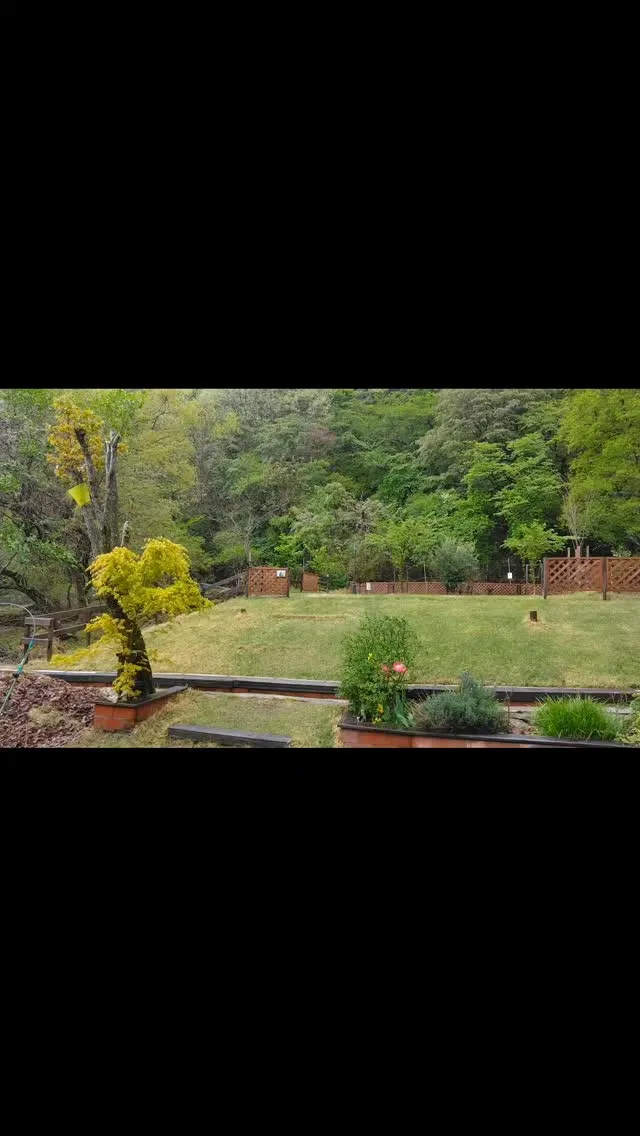 琵琶湖国定公園、比良山麓の、そぼ降る雨の、野鳥さえずる、貸し...