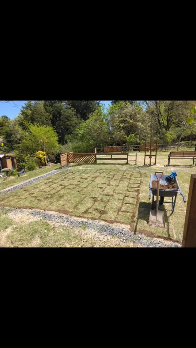 琵琶湖国定公園、比良山麓、芝生のキャンプサイト、芝の手入れ、...