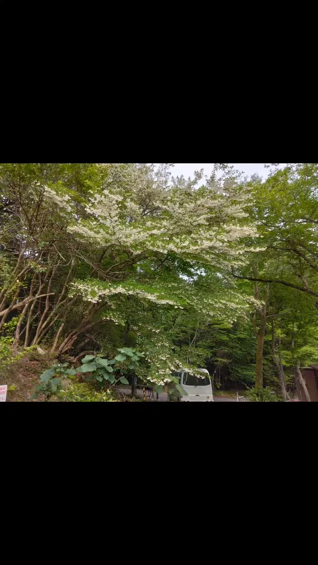 琵琶湖国定公園、比良山麓、貸し切り可能な、車乗り入れ無料の、...