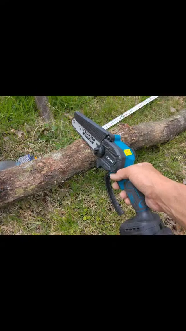 琵琶湖国定公園、比良山麓、染井吉野咲く、サクランボ🍒実る、野...