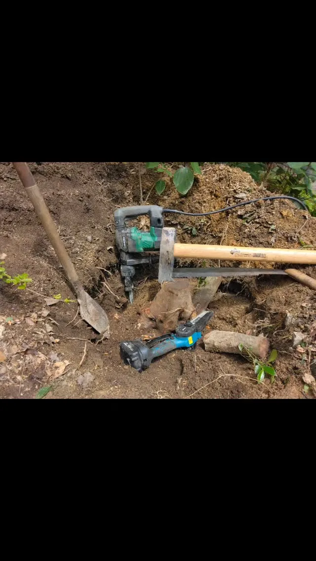 琵琶湖国定公園、比良山麓、緑に囲まれた、リゾートキャンプ、蠟...