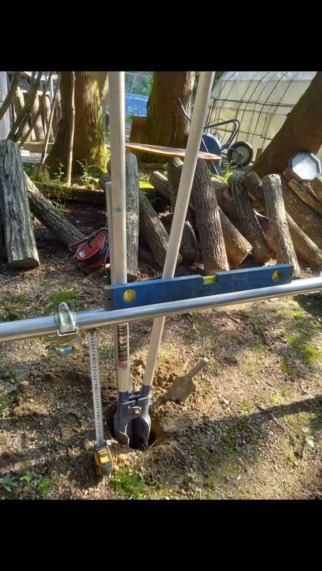 琵琶湖国定公園、比良山麓、地元グルメ、原木椎茸の栽培、ほだ場...