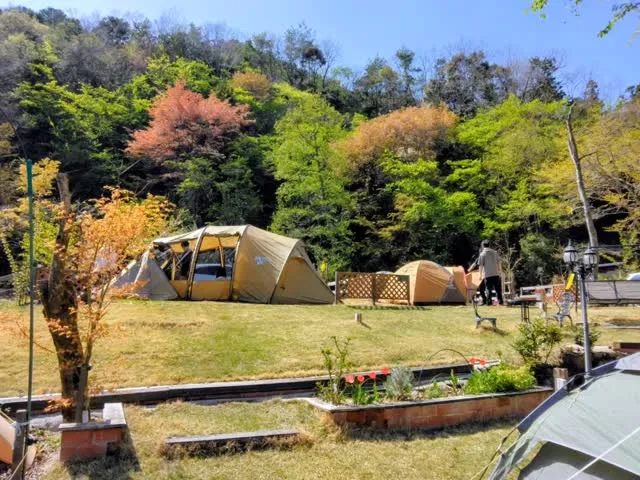 全面芝生のリゾートキャンプ