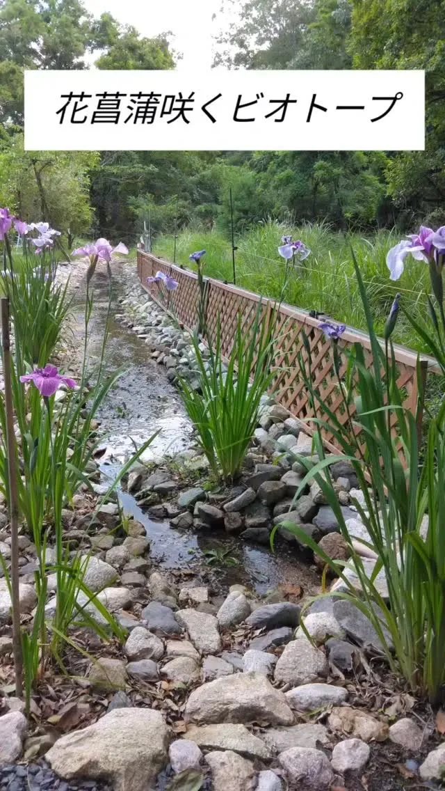 比良山麓の伏流水を引き入れた