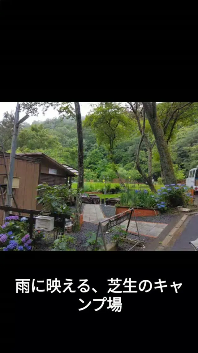 雨に濡れて