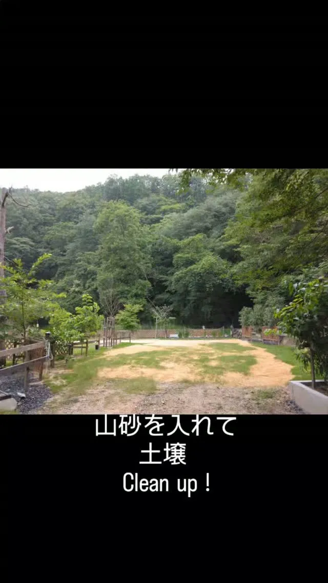 雑草を除去し、