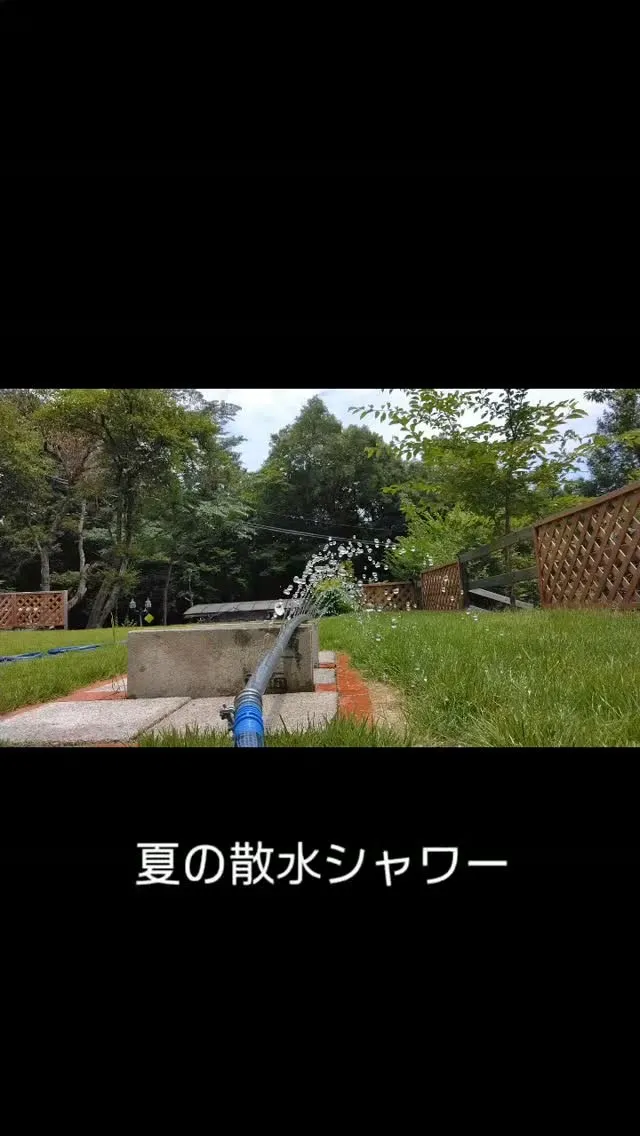 夏の散水は、