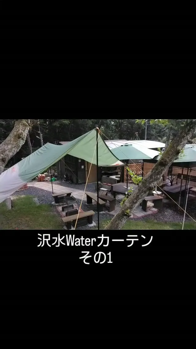 Cサイト