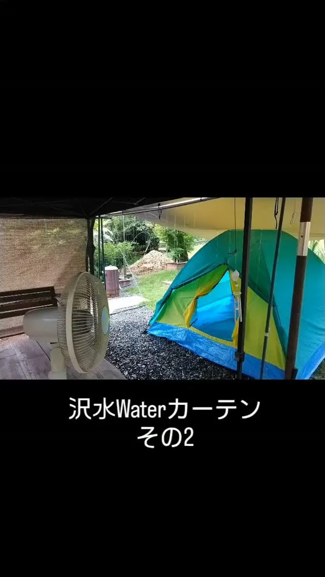 Cサイト