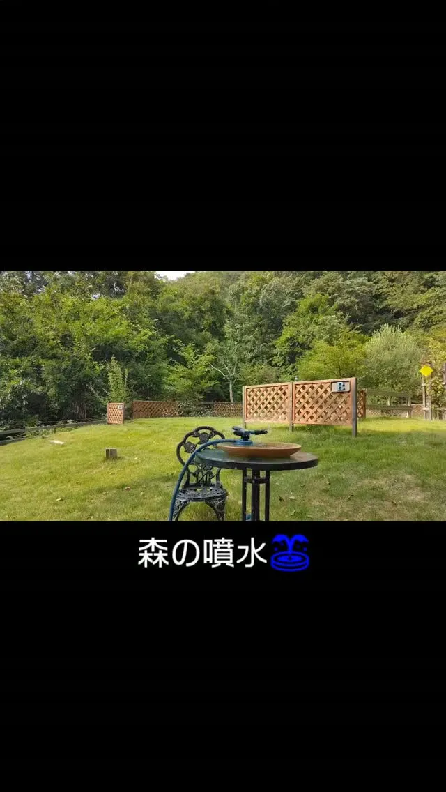 森の噴水⛲