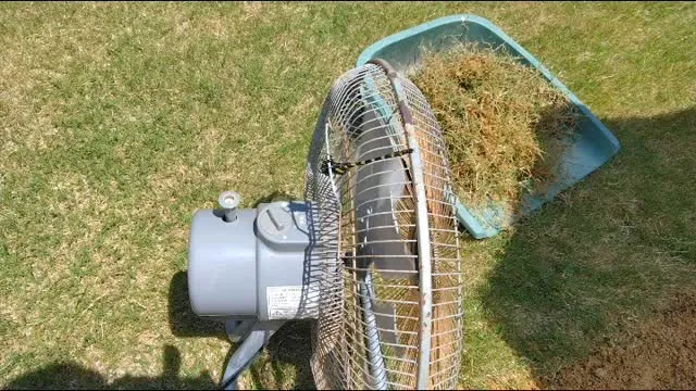 オニヤンマは、