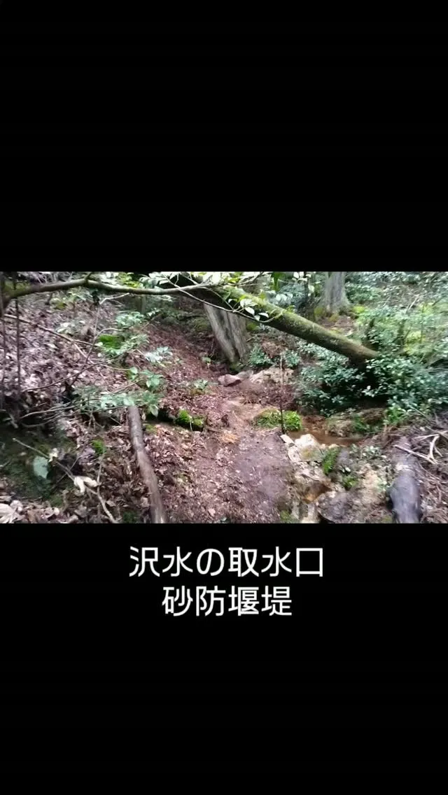 沢水の取水口