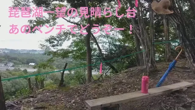 琵琶湖一望の